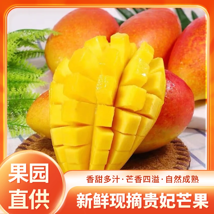 海南农家贵妃芒果5斤新鲜采摘香甜多汁孕妇水果红金龙芒果