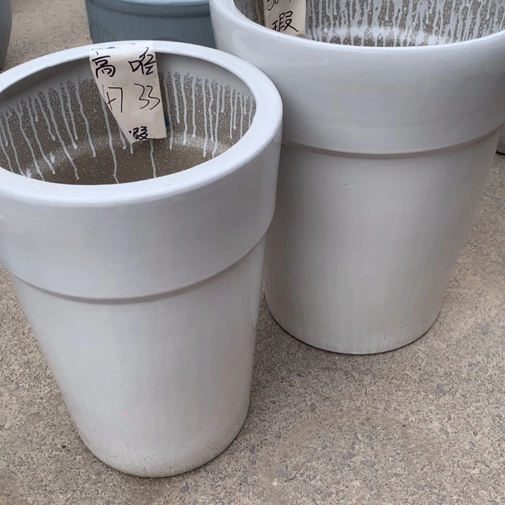 花盆里的小猫咪们都好可爱