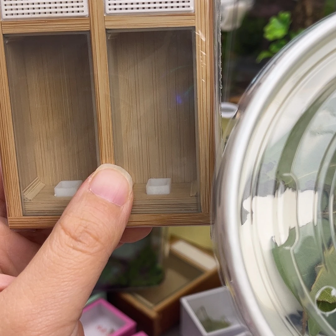 雪***狼双盒➕过虫器哈哈哈哈哈