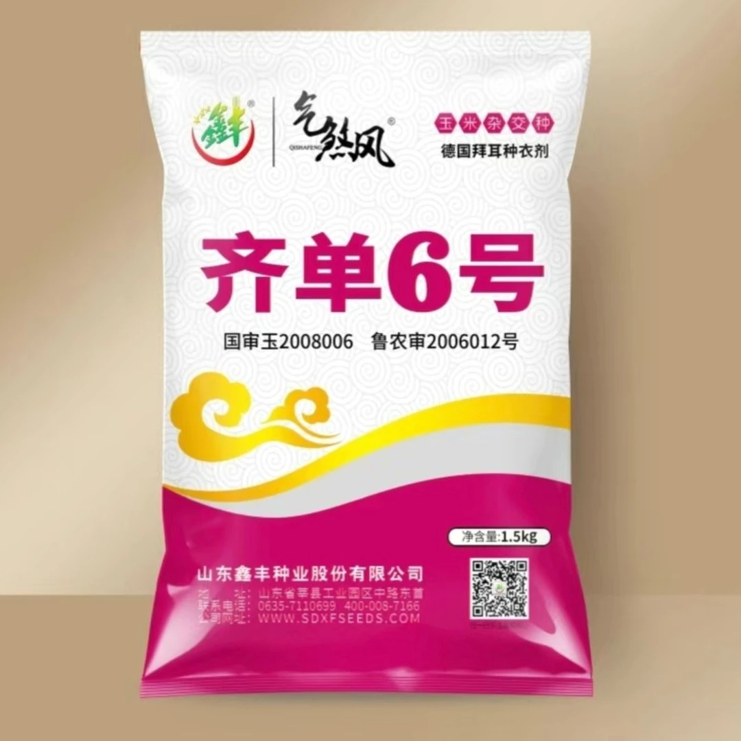 云贵川渝湘 抗倒 抗病 抗旱 耐涝 高产 大棒 玉米种齐单6号