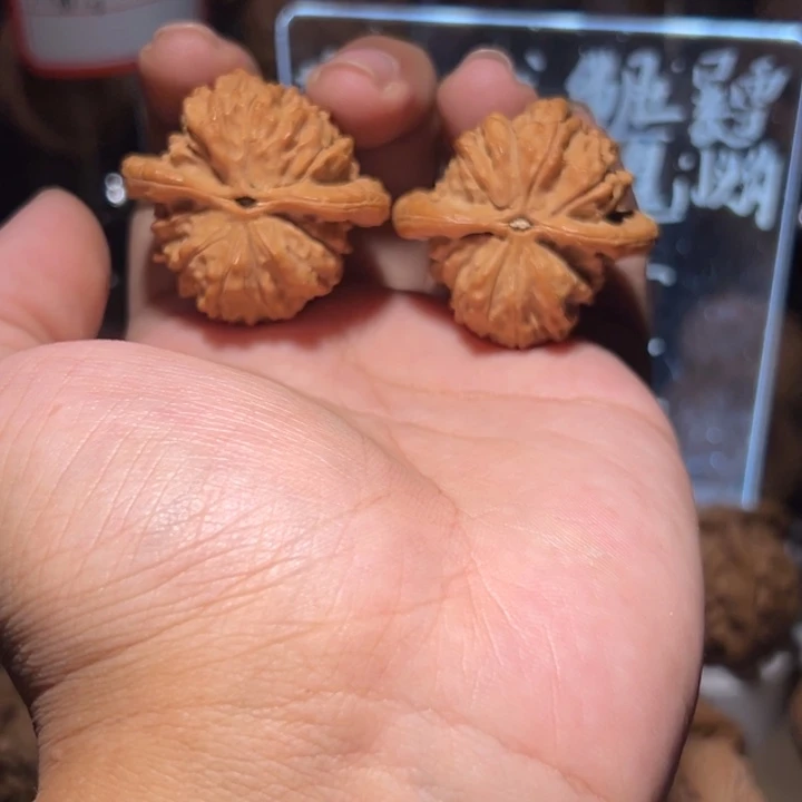 阔***子文玩核桃吊坠37朱雀全品