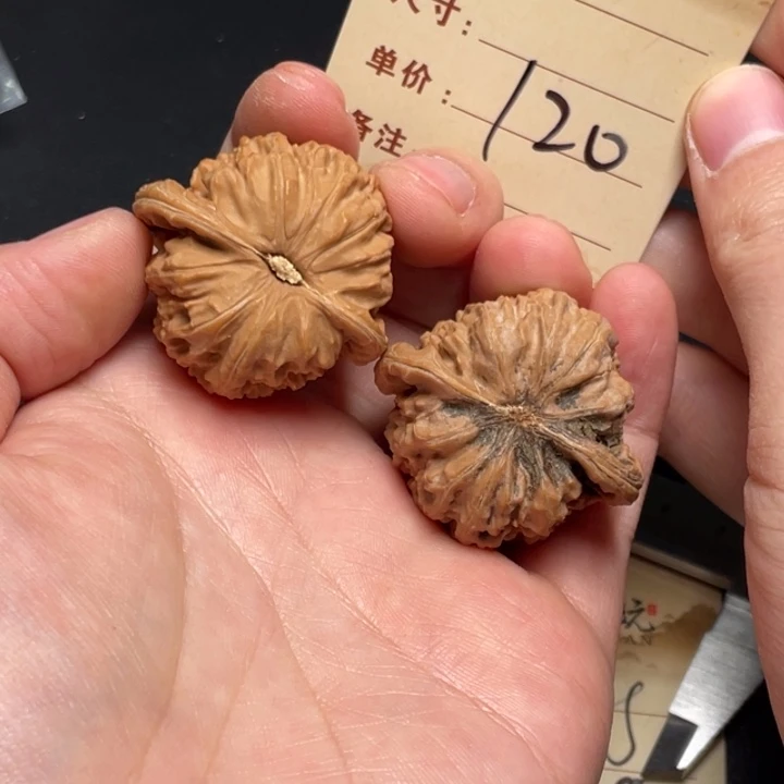 文玩核桃把件白狮子38尺全品白茬打底发120