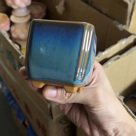 ·当场直播凑15元发·慎拍·