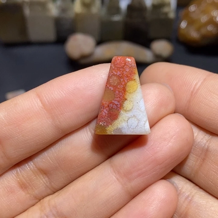 【闪购商品】未镶嵌珊瑚玉硅化玉