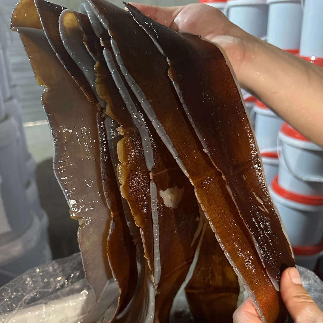 【海蜇精品边】岱山二头洞特级精品海蜇皮边，星级酒店专供高端款