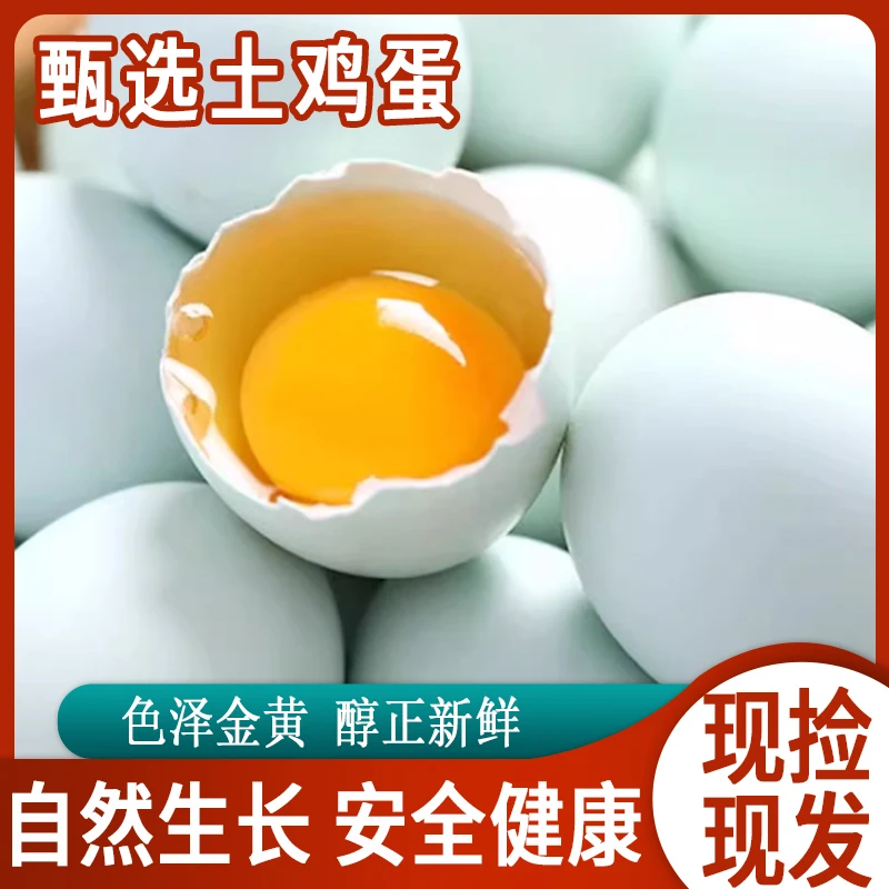 林下散养绿壳土鸡蛋新鲜蛋现捡现发包邮