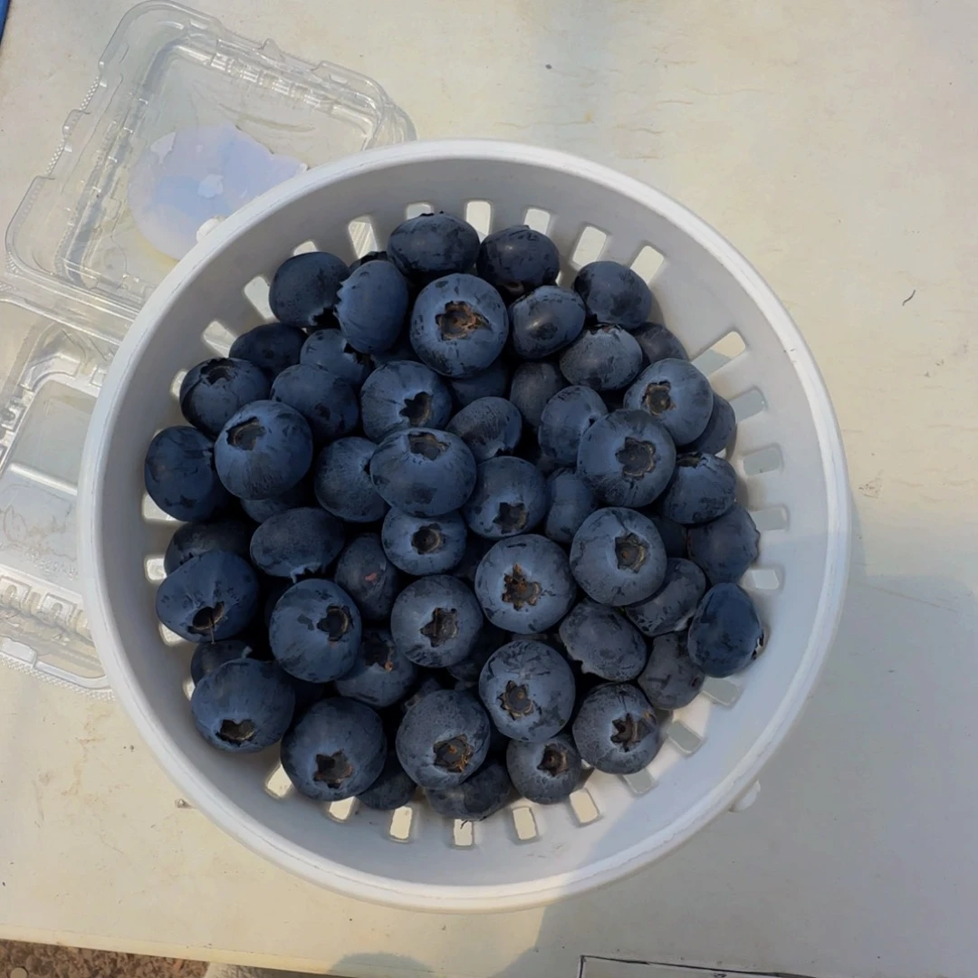 一份八盒一公斤大果