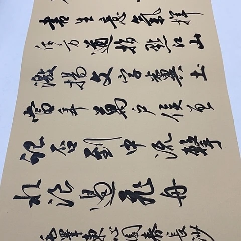 沁园春长沙行书托底作品