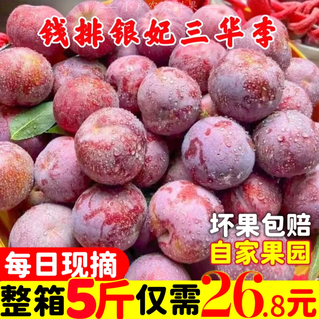 【清园价】正宗钱排三华李酸甜脆现货新鲜采摘当季红心李顺丰包邮