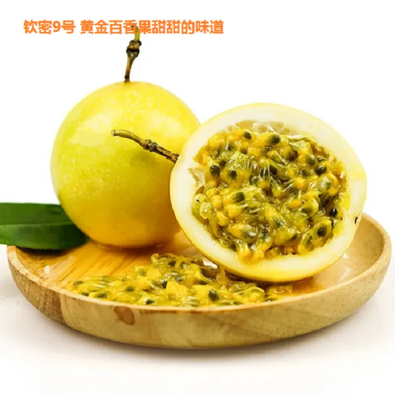 【田间】当季水果钦蜜9号生态新鲜现摘鲜籽蜂蜜味多汁百香果皮薄