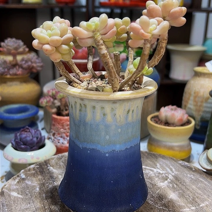 景德镇陶瓷2单包邮