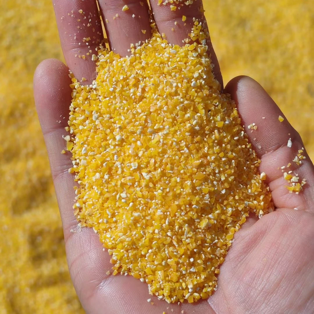 湖北老品种高山黄玉米糁玉米粒玉米碴新鲜苞谷糁玉米面粉粗粮杂粮