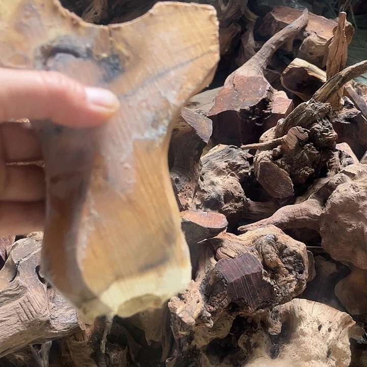 香榧木麻梨的小伙伴都在这里啦