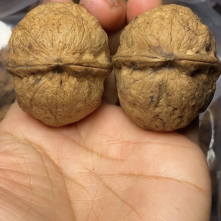 把件文玩核桃云南铁核桃79