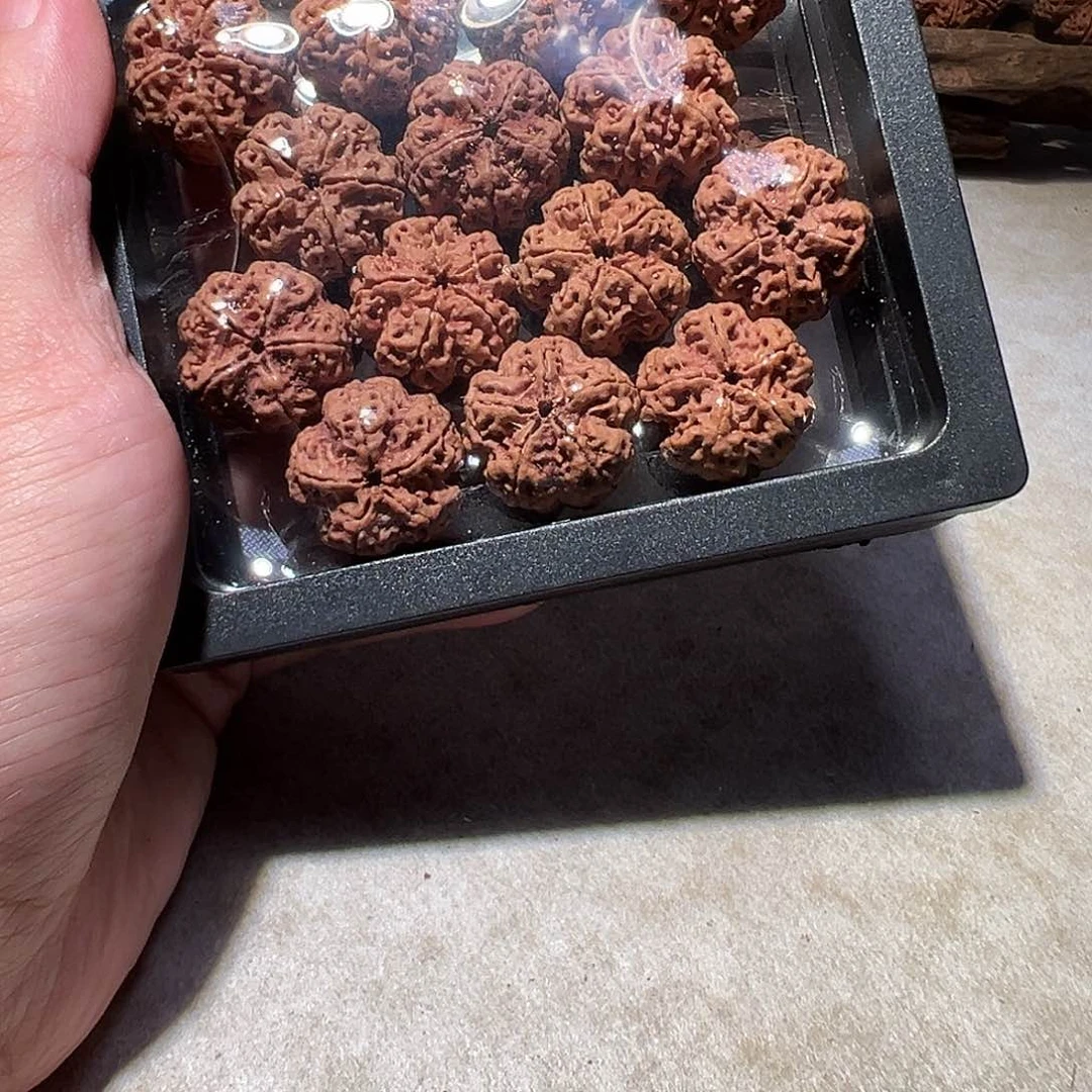 金刚菩提手串毕业21尺寸左右梅花福利