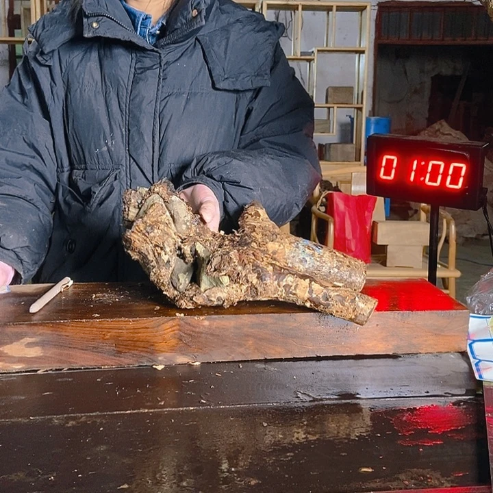 楠木（金丝楠）其他一*熊