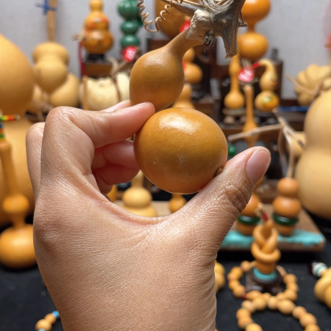 o****t大自然的秘密第十一章第一节