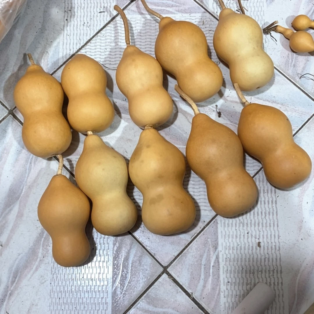 木***宝文玩葫芦天然葫芦一组