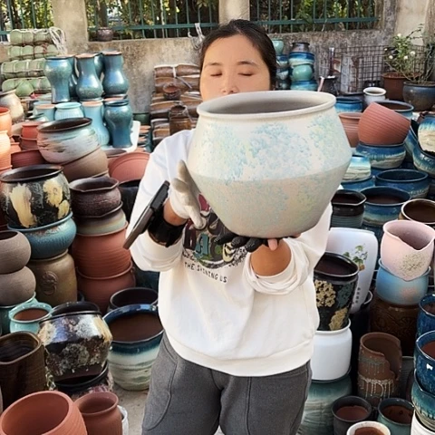 口24高24一个盆子。