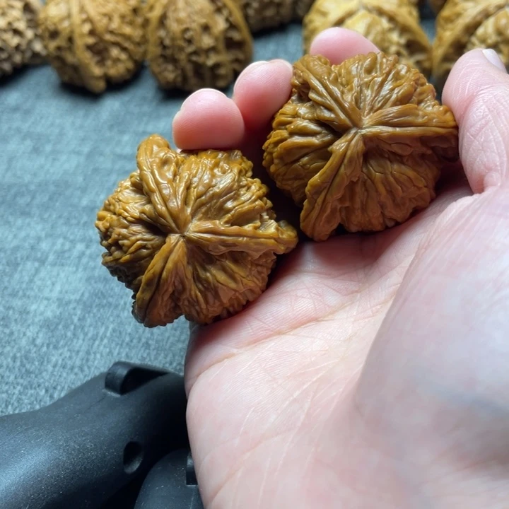 ****ヤ手工三棱白狮子三棱