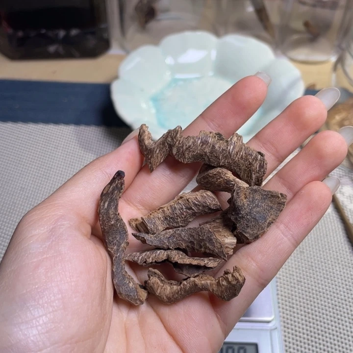 沉香海南尖峰岭鸡母虫漏6.2克