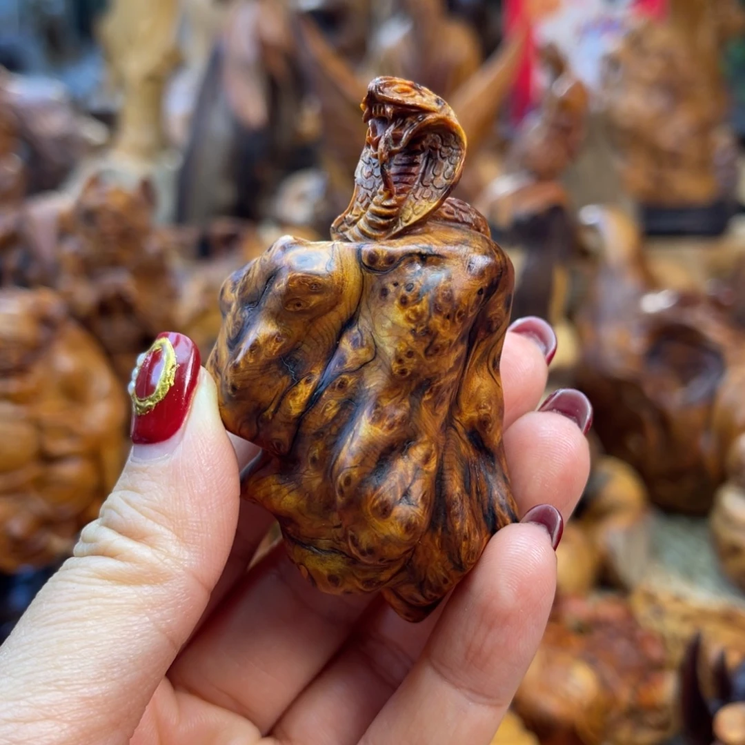 柏木跪**爷眼镜蛇满瘤花