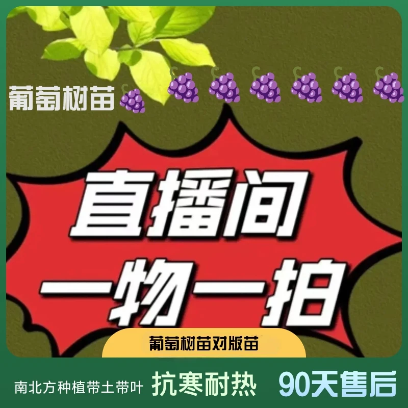 葡萄树苗一物一拍带土带叶抗寒耐热南方北方盆栽地栽易活好管理