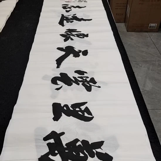 翰墨申国栋老师作品一副