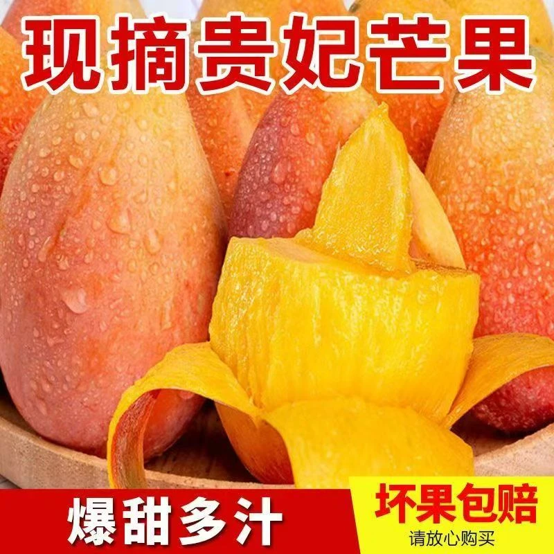 海南贵妃芒带箱5斤大果单果150g+约10-15个（放软吃）