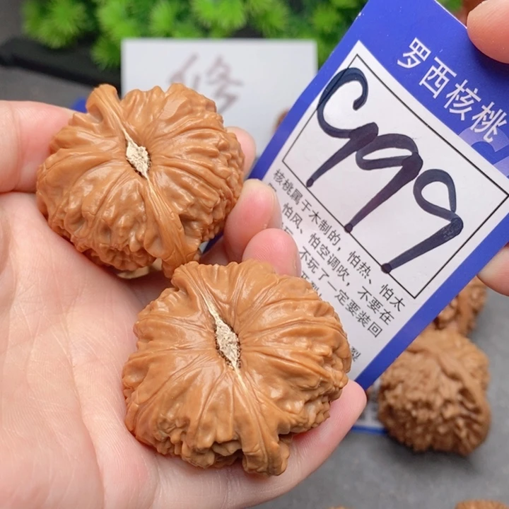 桃核把件43白狮子999号牌