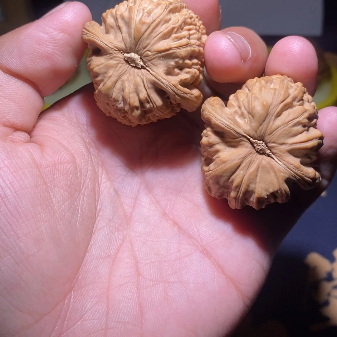 V***k文玩核桃白狮子福利