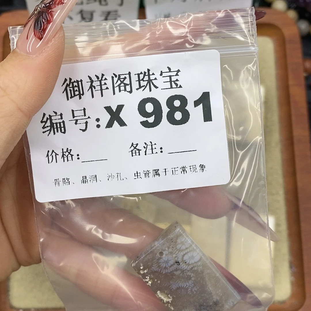 硅化珊瑚（珊瑚玉）颈饰未镶嵌让****啊