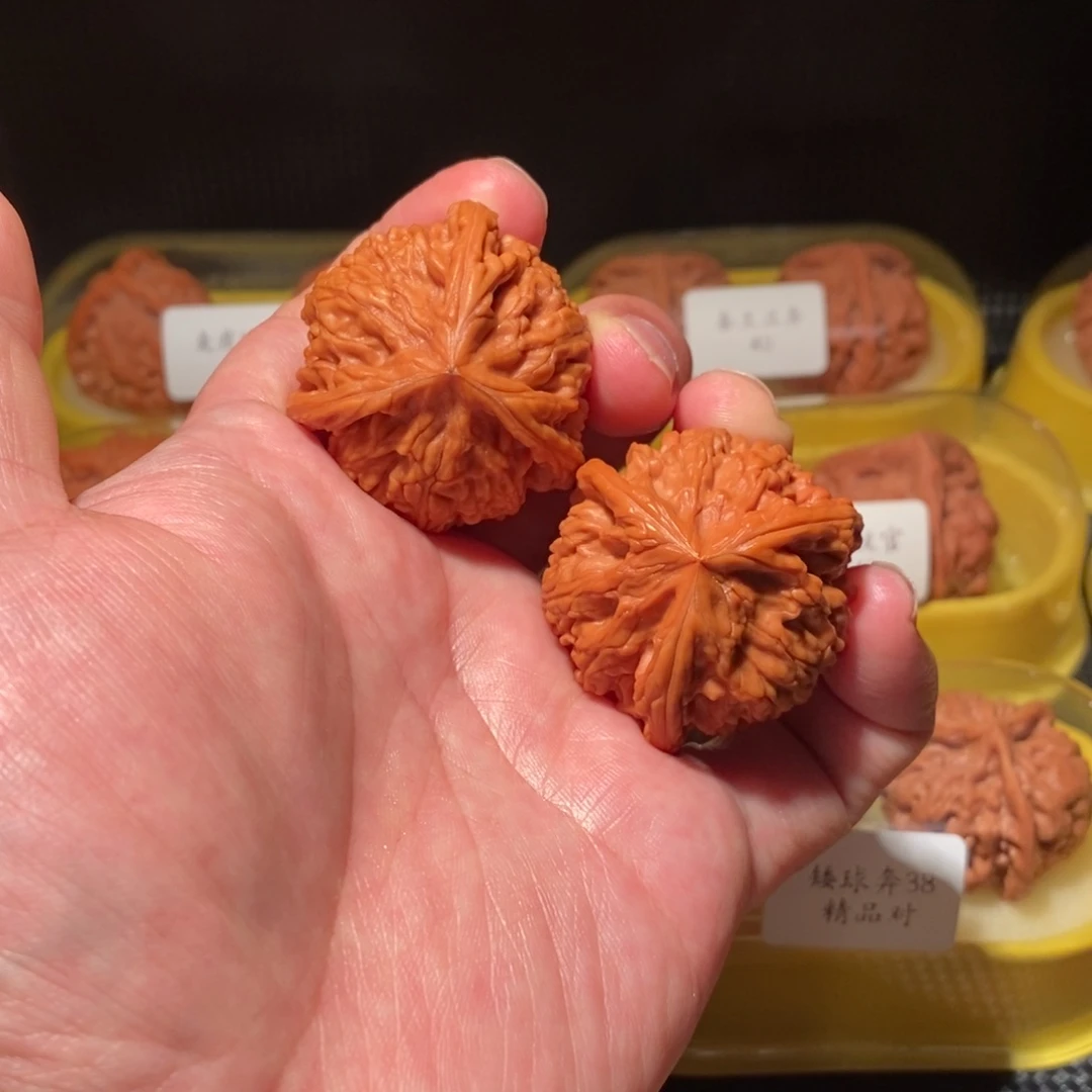 40御龙粗筋正球奔精品对