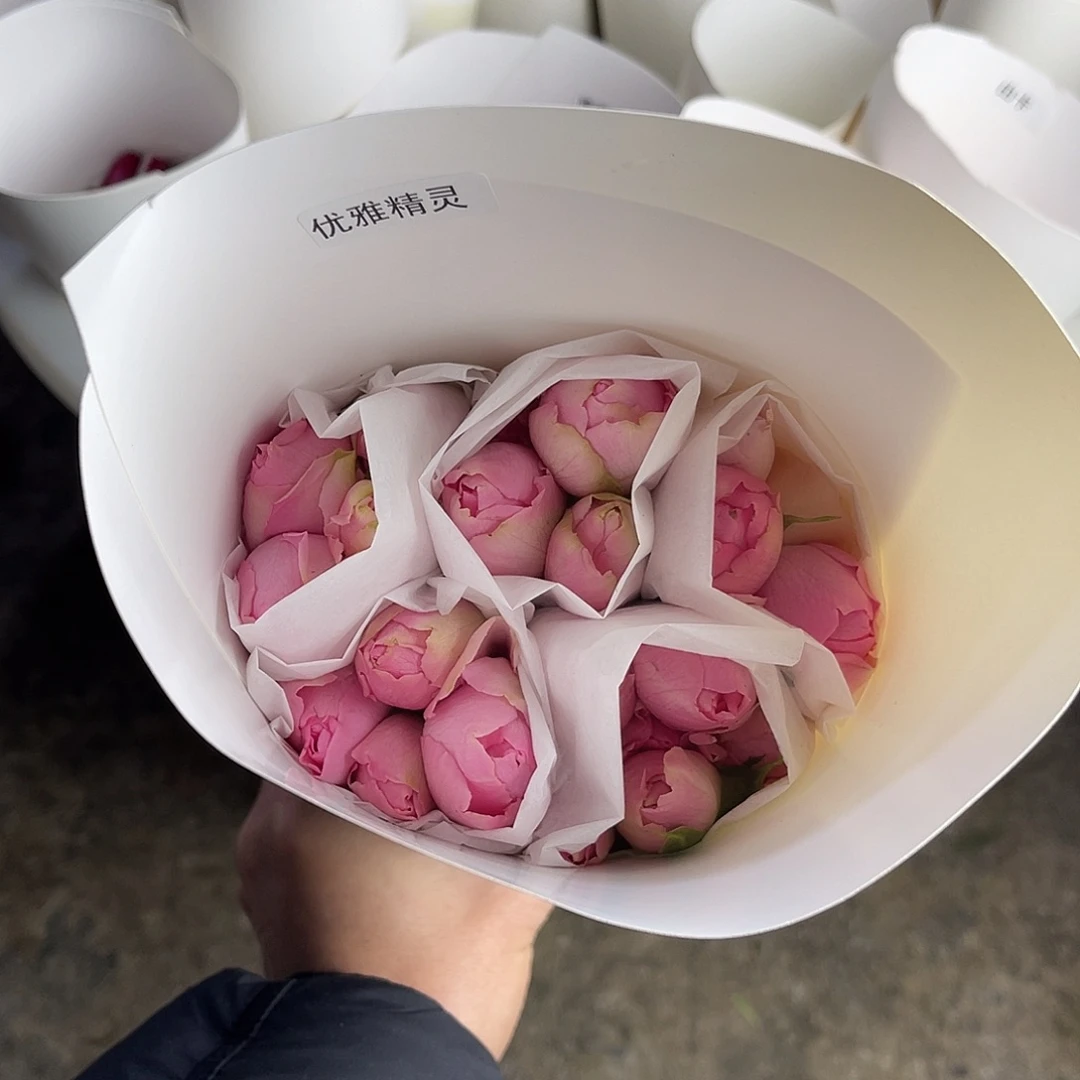 全部花苞醒目（优雅精灵）一扎