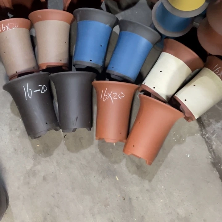 周深周深周深周深周深