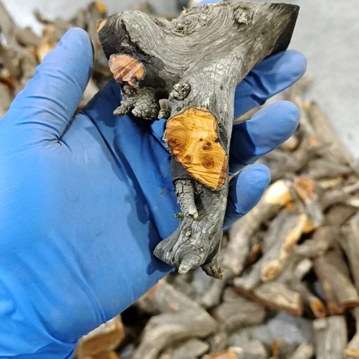用***9香榧木崖柏随行毛料毛料毛料