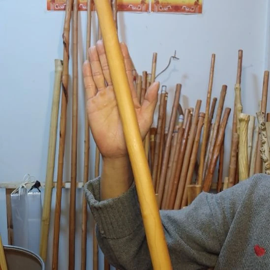 坠***空秦岭石山红荀子，牛筋木