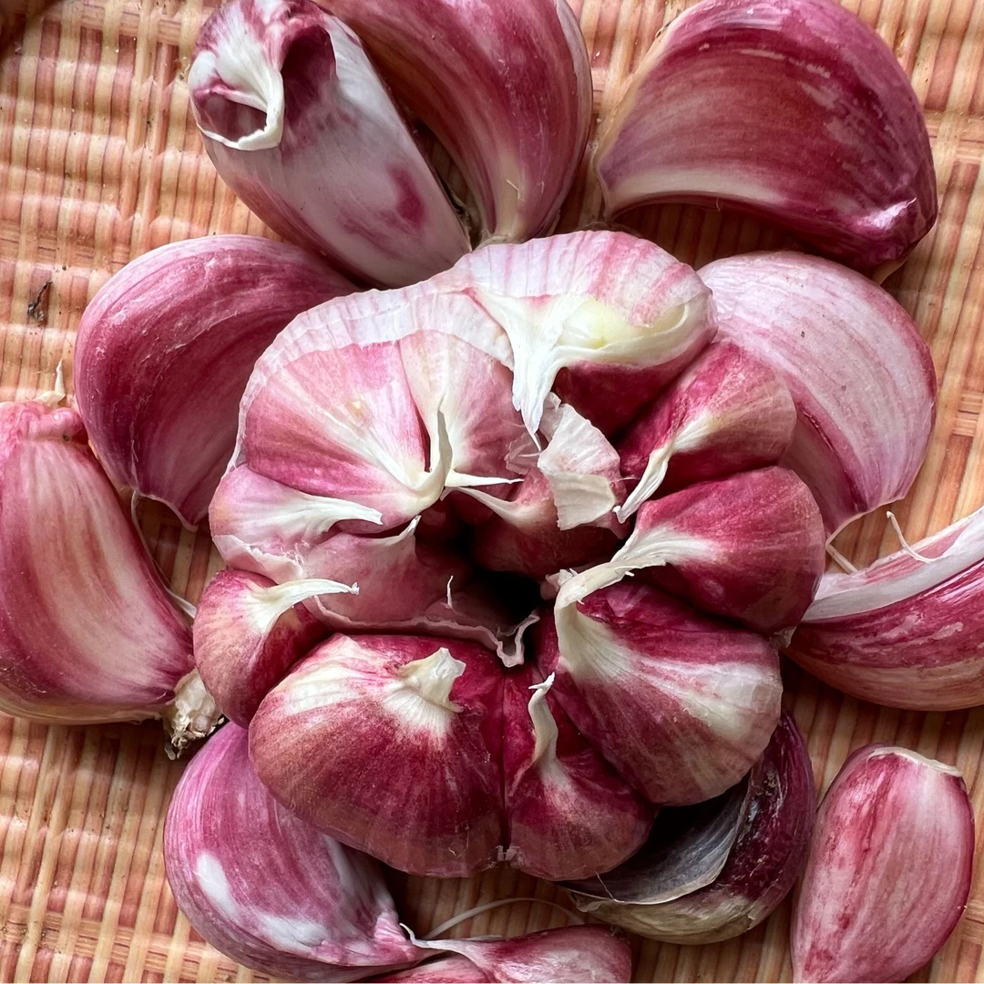 2025年新鲜贵州紫皮大蒜头嫩蒜蔬菜带泥干蒜