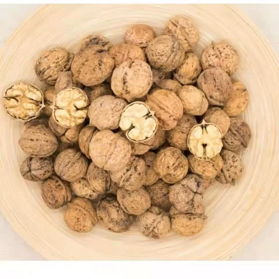 云南下山薄皮核桃临时链接
