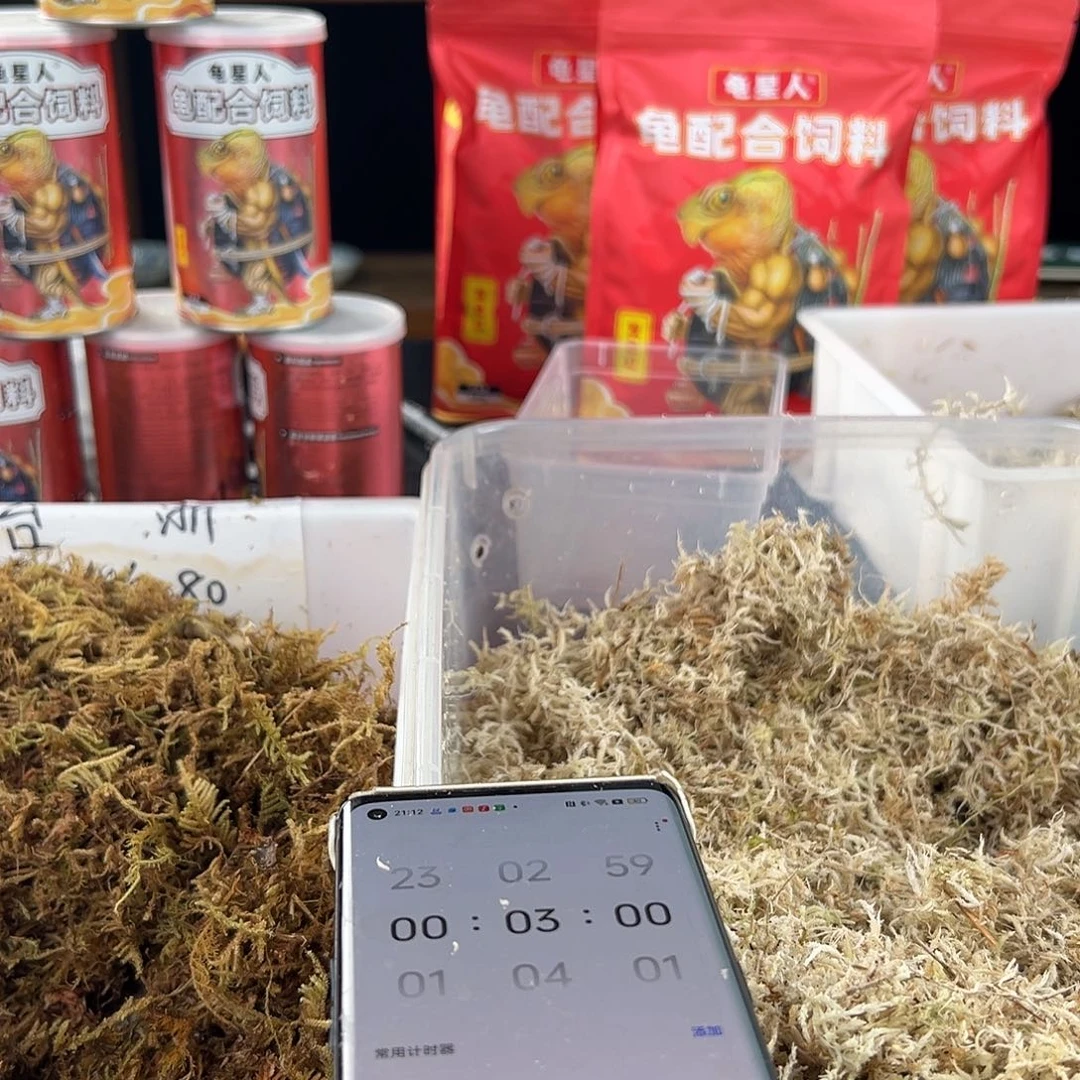 母小*棟新年快乐哦我爱