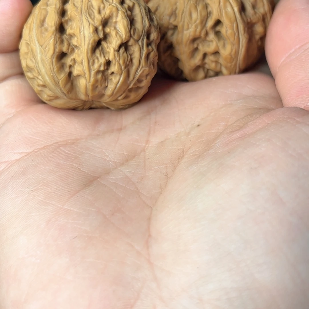 核桃手串/手链羊*鱼元宝元宝元宝