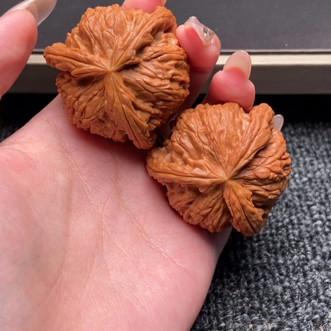 董***木质类白狮子正奔