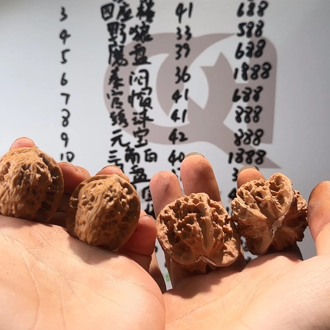 吊坠文玩核桃33野狼，随41