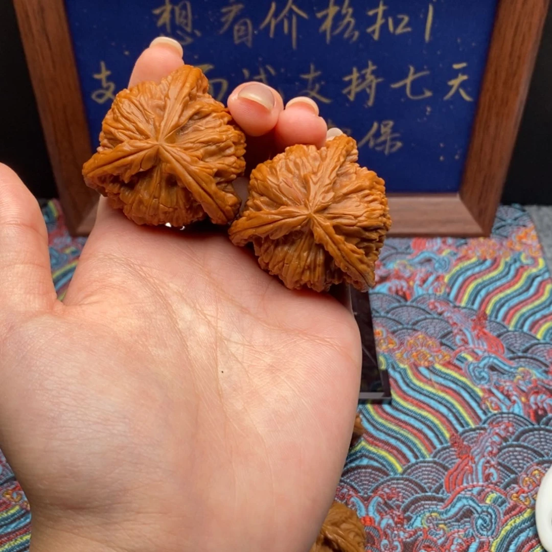 【闪购商品】长****湖白狮