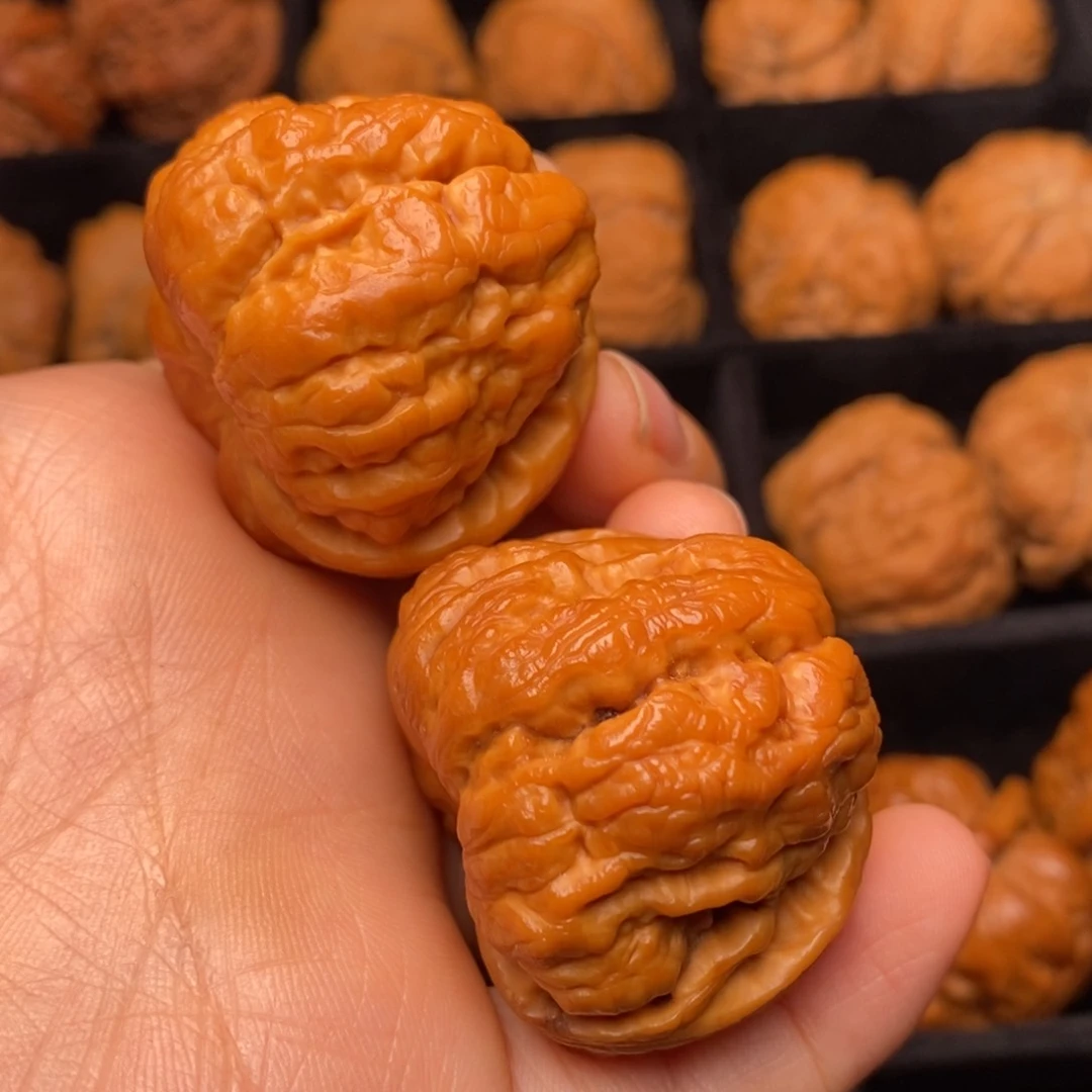 文玩核桃把件秦岭野生核桃