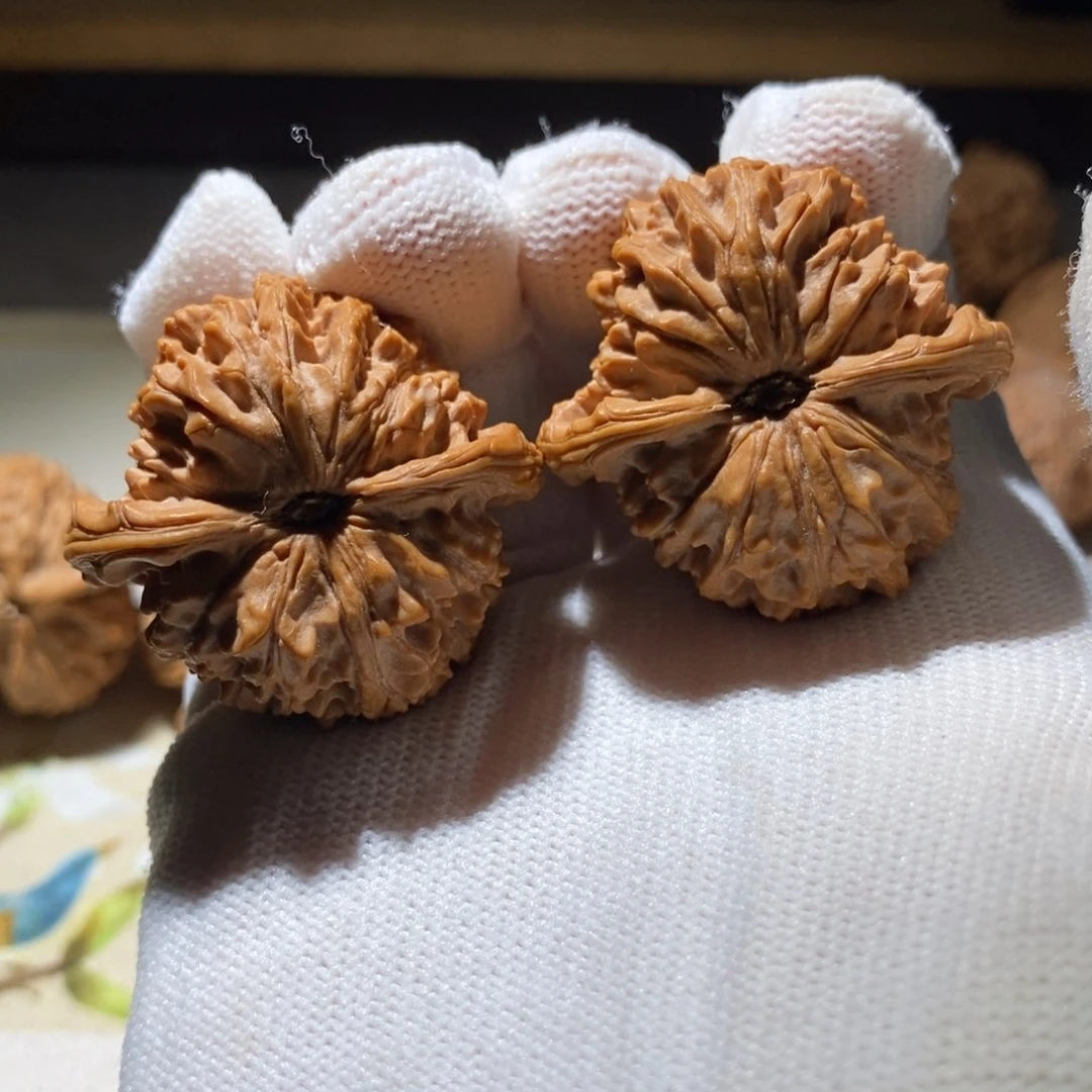 文玩核桃把件哦*。37.5原树