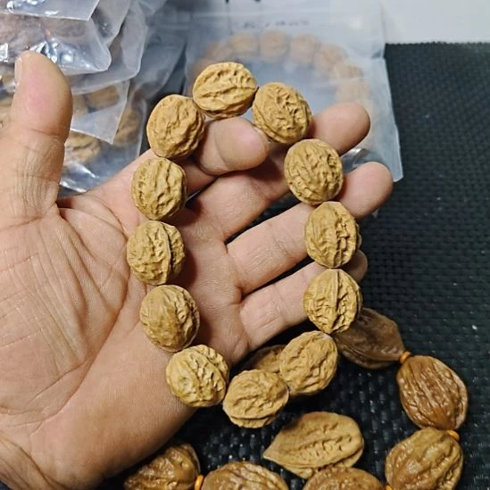 木质类纯野生山核桃16