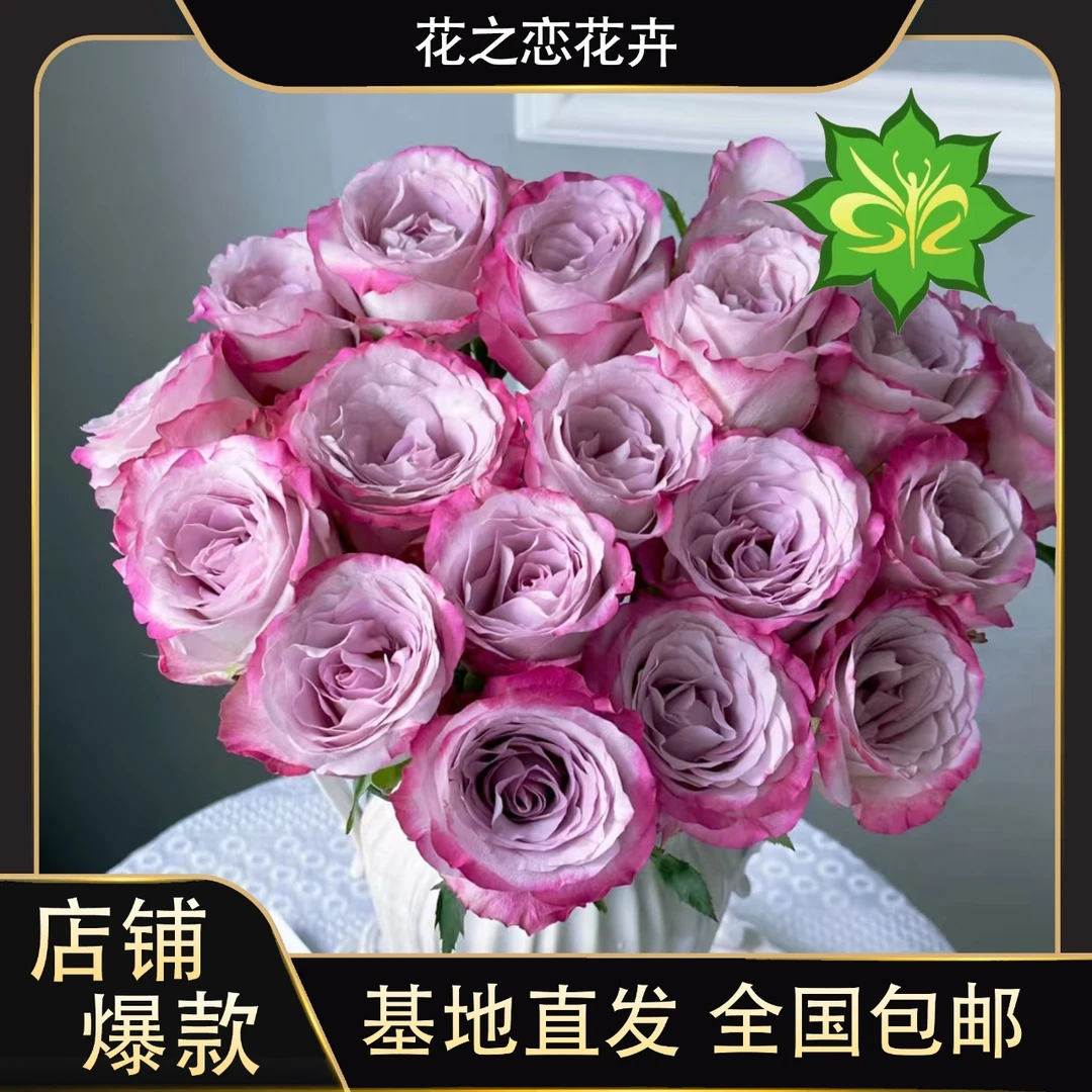 气场玫瑰   居家办公优选《云南基地发货》