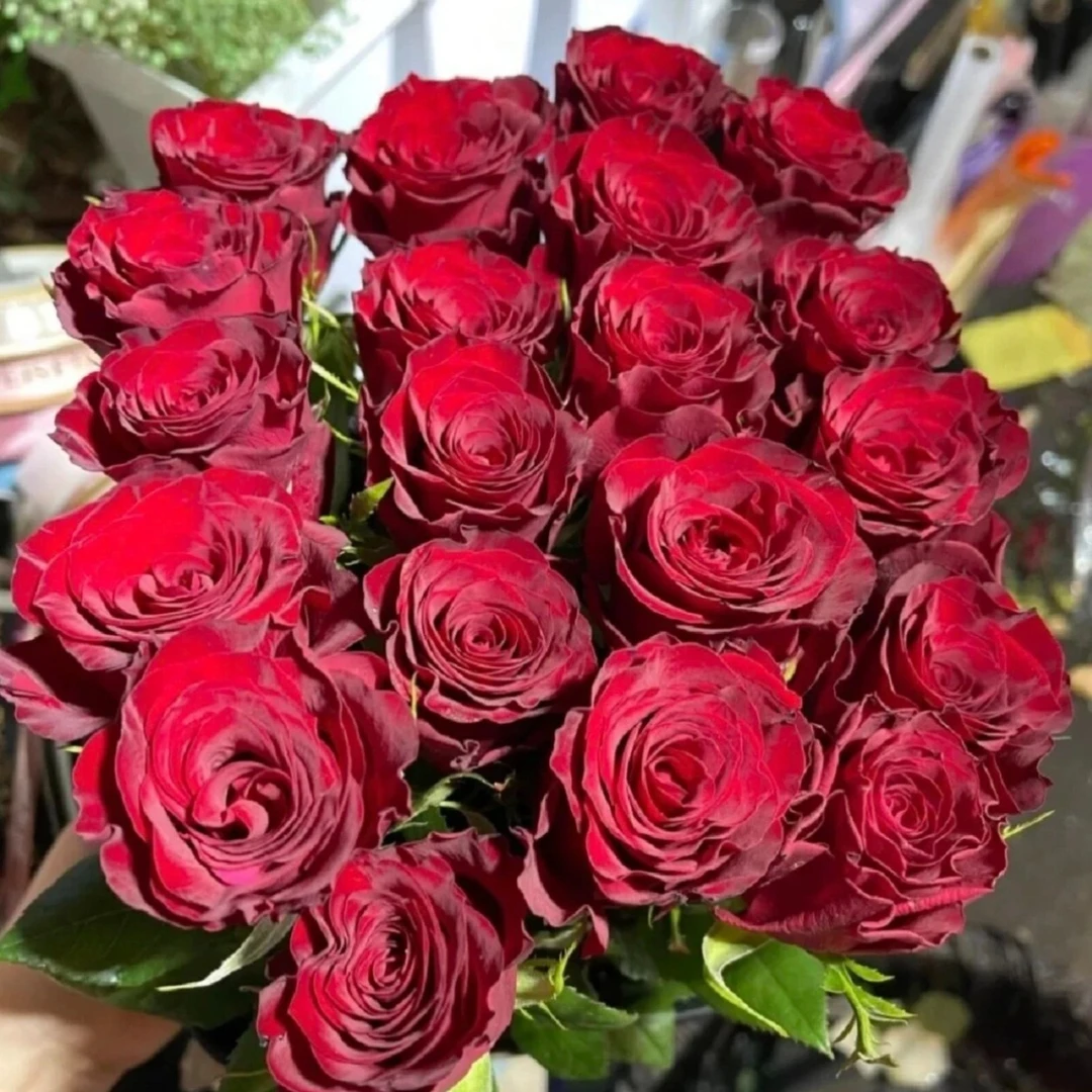 鲜花【高原红】家庭同地址两单升级冷链包邮送货上门