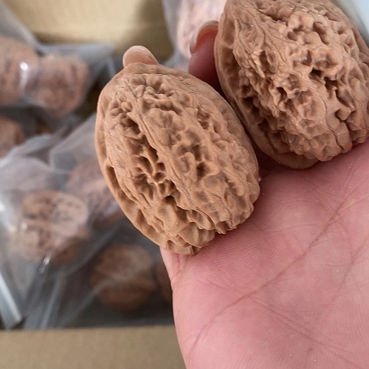 野生野生野生野生野生野生